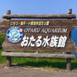 小樽観光で小樽(おたる)水族館へ!おすすめ理由や口コミをブログで紹介!